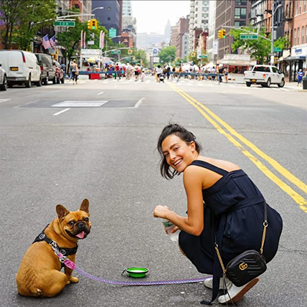Rephundkoppel för hundar - Hundkoppel med reflekterande trådar för