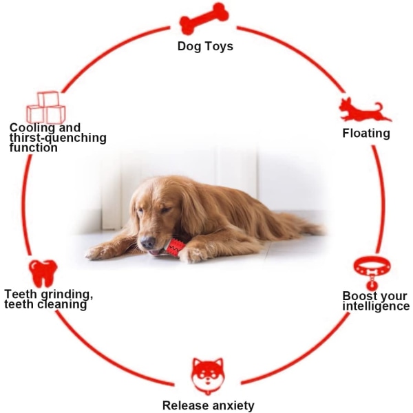 Husdjurstillbehör Hundtuggleksaker Multifunktionell hundmolarhund
