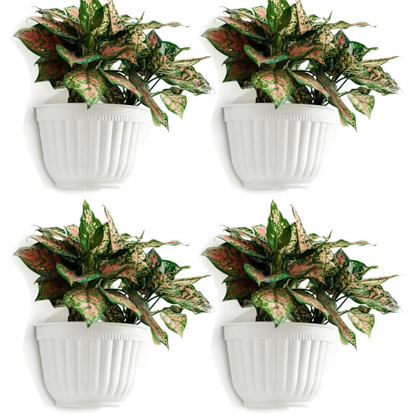 Väggmonterad blomkruka i plast, 4-pack, vit