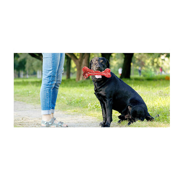 Hundleksaker för aggressiva tuggare, oförstörbara hållbara hundtuggleksaker, giftfria nylonhundbenleksaker av livsmedelskvalitet minskar tristess, testade av labradorer,