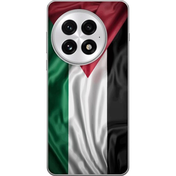 OnePlus 13 Gennemsigtig cover Palestinaflaget – ikonisk frihedssymbol i rød, sort, hvid og grøn