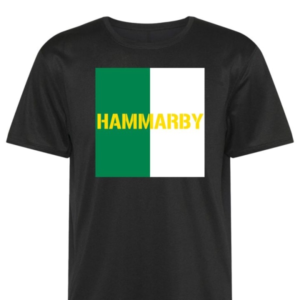 Tränings T-Shirt Hammarby svart Large