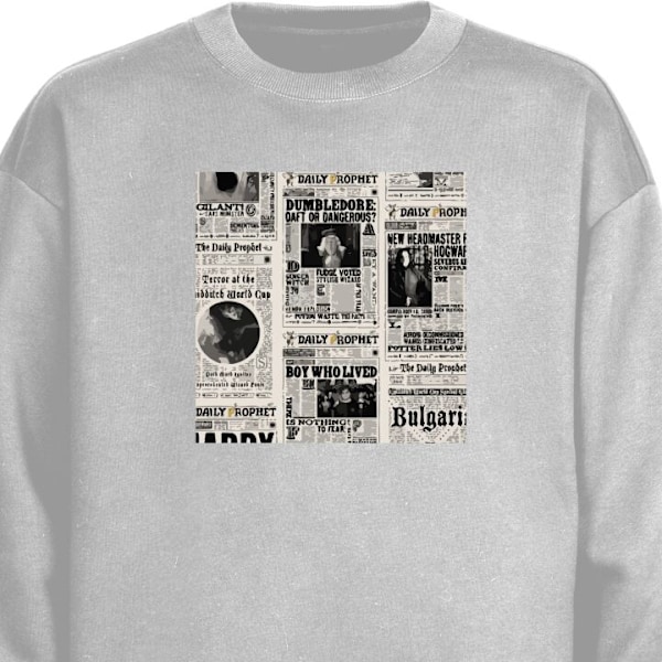 Sweatshirt til Voksne | Klassisk Collegebluse Harry Potter Avi grå L