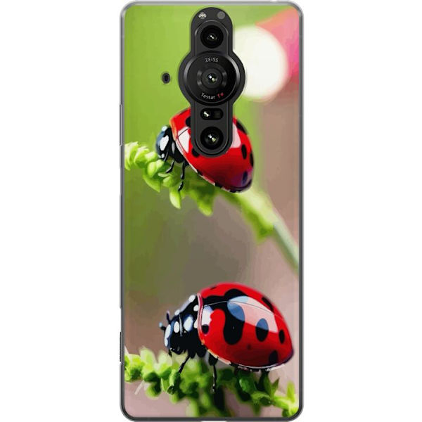 Sony Xperia Pro-I Läpinäkyvä kuori Leppäkerttu Hyönteinen Onni Symboli Luontoaihe Suosittu Graafinen Motiivi Koristelu Kesäkiertue
