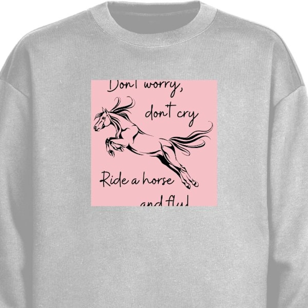 Sweatshirt för Vuxen | Klassisk Collegetröja Dont Worry grå S