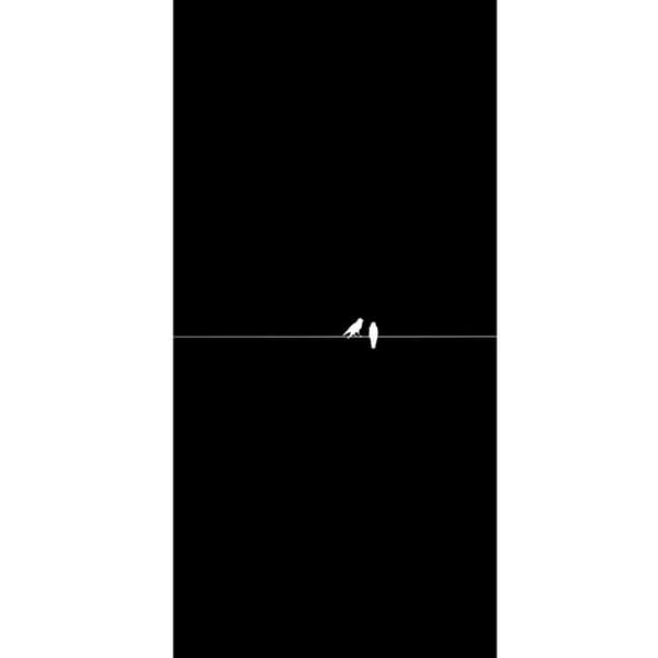 Kompatibel Tegnebogsetui til Apple iPhone 13 Pro Minimalistiske fugle sort