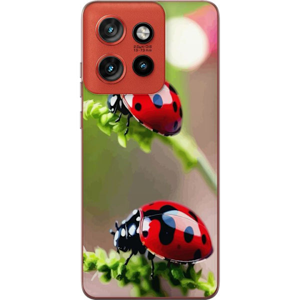Motorola Edge 50 Neo Läpinäkyvä kuori Leppäkerttu Hyönteinen Onni Symboli Luontoaihe Suosittu Graafinen Motiivi Koristelu Kesäkiertue