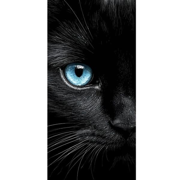 Kompatibel Tegnebogsetui til Apple iPhone 13 Pro Nærbillede af sort kat med intenst blåt øje og dramatisk kontrast mod mørk baggrund sort