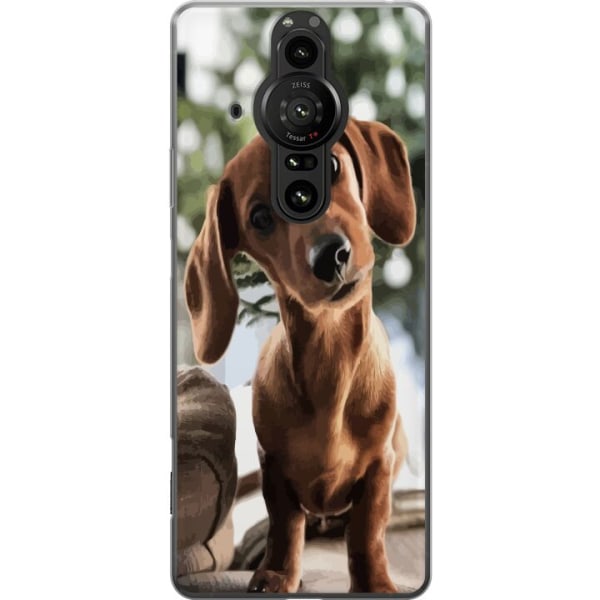Sony Xperia Pro-I Gennemsigtig cover Ung Hund