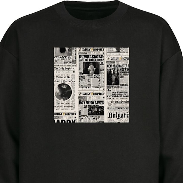 Sweatshirt for Voksen | Klassisk Collegegenser Harry Potter Ti svart XL