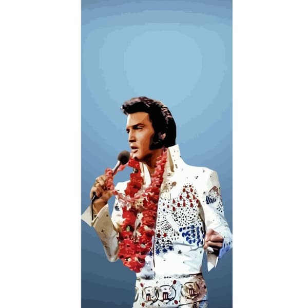 Kompatibelt Plånboksfodral till Apple iPhone 13 Pro Elvis Presley