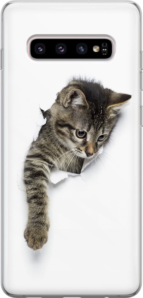 Kompatibel Mobilcover til Samsung Galaxy S10+ Kat