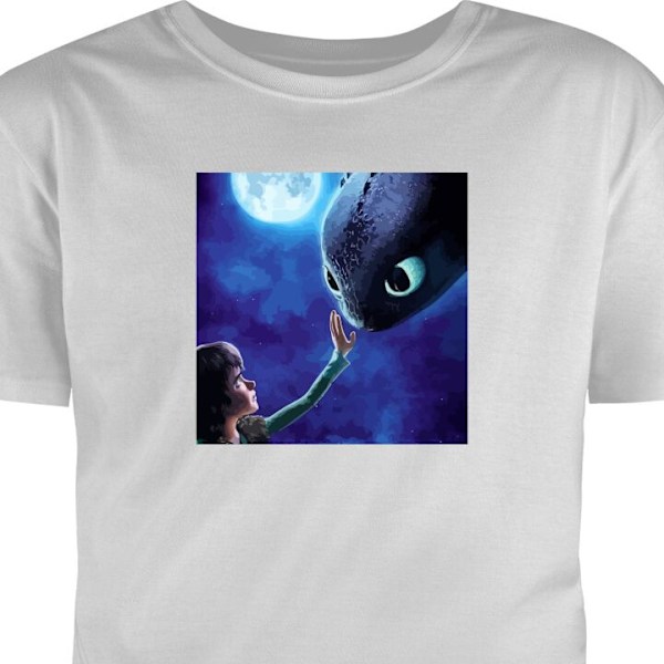 T-shirt för Vuxen | Klassisk Vuxen-T-shirt Draktränaren How to Train Your Dragon grå M