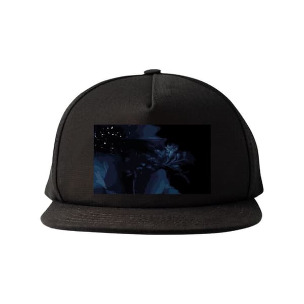 Snapback svart one size