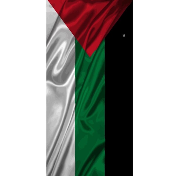 Apple iPhone 13 Pro Plånboksfodral Palestina