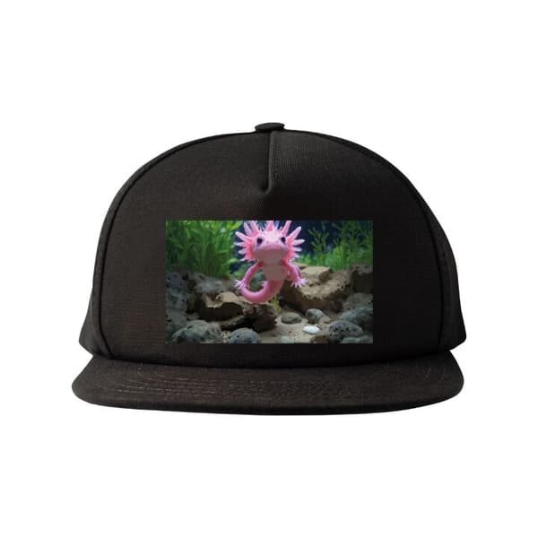 Snapback svart one size
