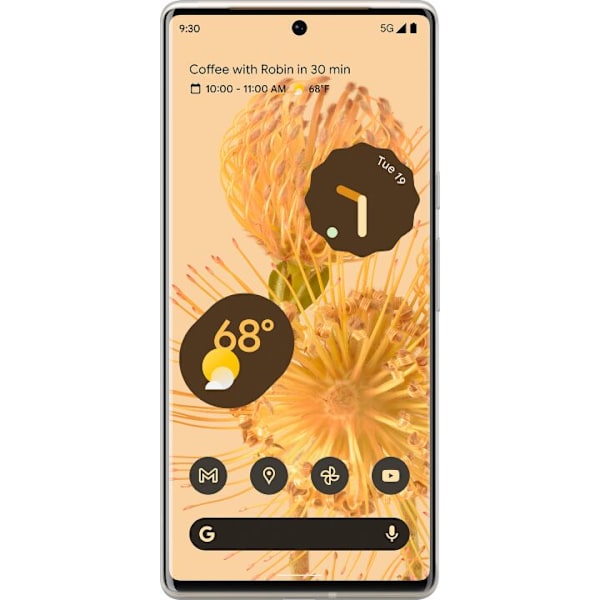 Google Pixel 6 Pro Gjennomsiktig deksel Overrasket Leopard