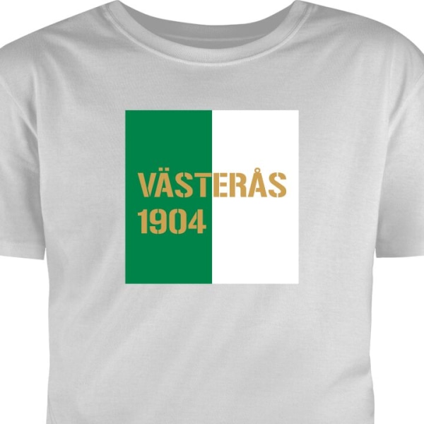 Barn T-shirt Västerås 1904 grå 5-6 År