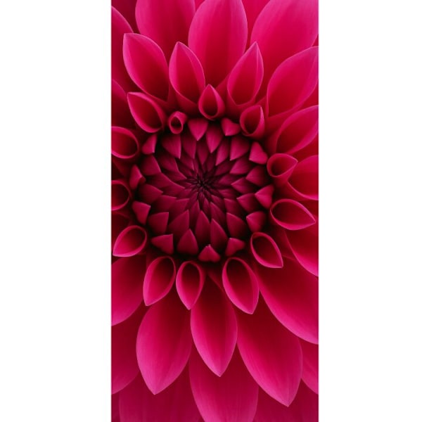 Apple iPhone 13 Pro Plånboksfodral Rosecore