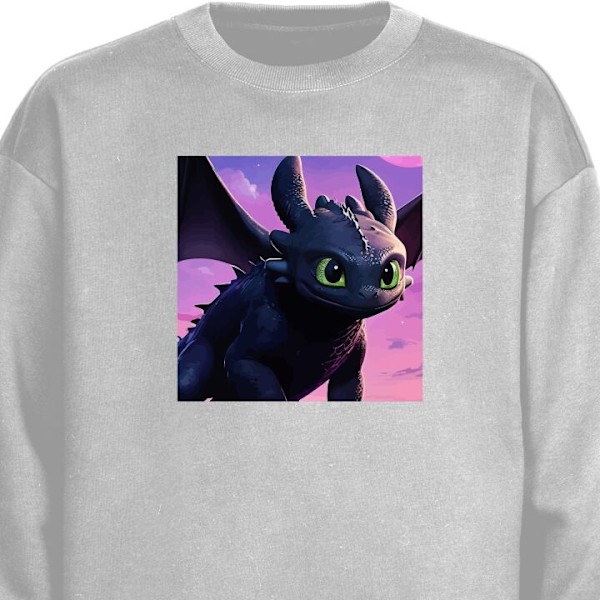 Sweatshirt för Barn | Mjuk & Klassisk Sweatshirt How to Train Your Dragon (Draktränaren) grå one size
