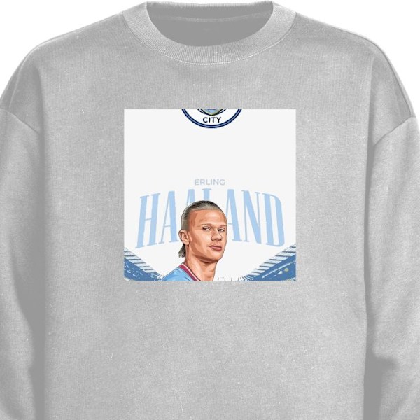 Sweatshirt for Voksen | Klassisk Collegegenser Erling Haaland grå S