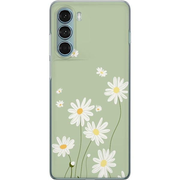Motorola Moto G200 5G Läpinäkyvä kuori Papukaijanpaparit -