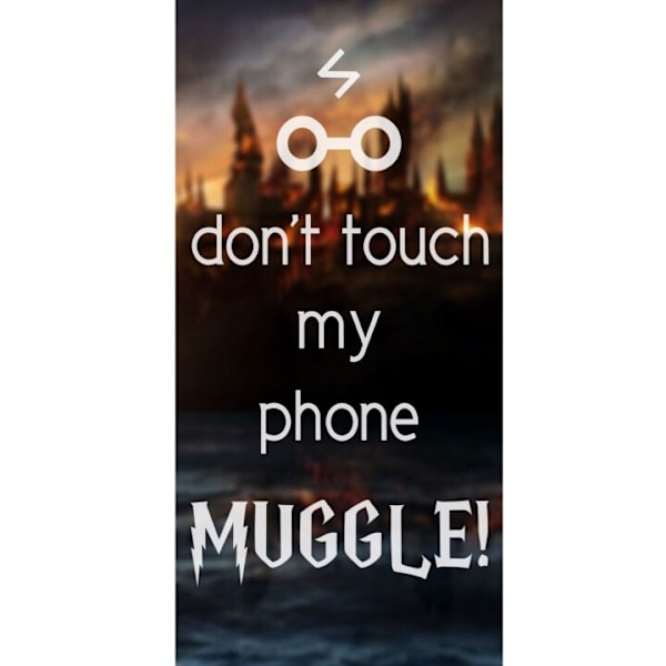 Apple iPhone 13 Pro Tegnebogsetui Harry Potter