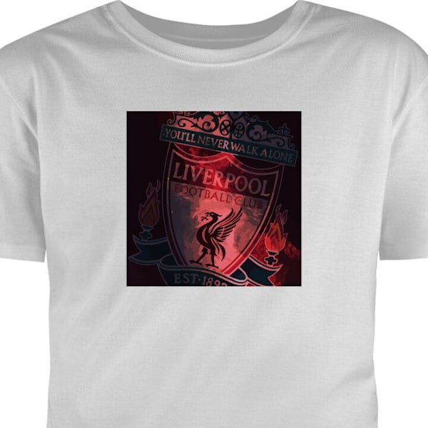 T-shirt för Vuxen | Klassisk Vuxen-T-shirt Liverpool grå M