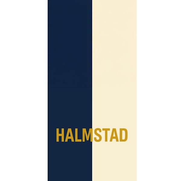 Apple iPhone 13 Pro Tegnebogsetui Halmstad – Fodbold