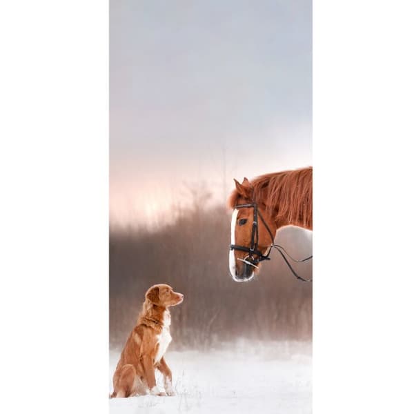 Kompatibel Tegnebogsetui til Apple iPhone 13 Pro Hest & Hund