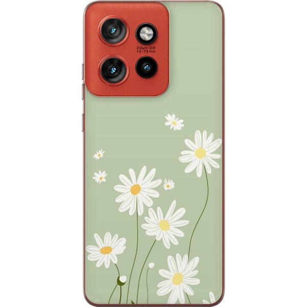 Motorola Edge 50 Neo Genomskinligt Skal Prästkragar – blommigt mönster i svensk sommarstil