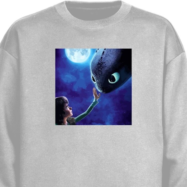 Sweatshirt for Barn | Myk og Klassisk Collegegenser Draketreneren grå one size