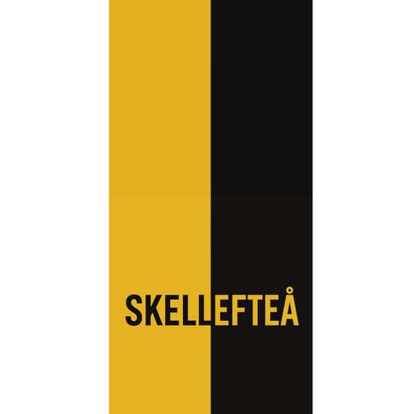 Kompatibel Tegnebogsetui til Apple iPhone 13 Pro Skellefteå