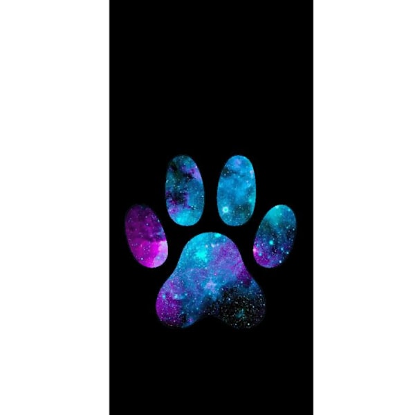 Apple iPhone 13 Pro Tegnebogsetui Galakse Klø