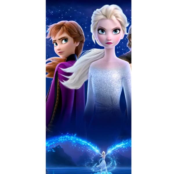 Kompatibel Tegnebogsetui til Apple iPhone 13 Pro Frossen