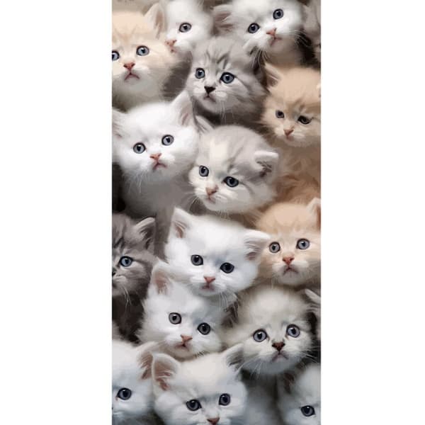 Kompatibel Tegnebogsetui til Apple iPhone 13 Pro Katte