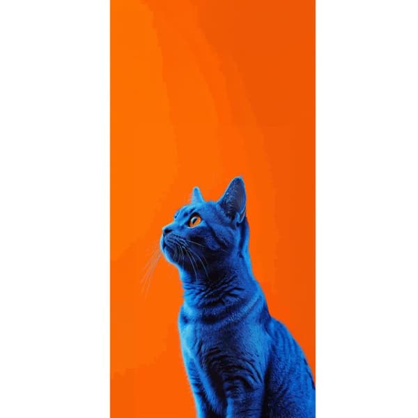 Kompatibel Tegnebogsetui til Apple iPhone 13 Pro Blå kat med orange baggrund i moderne popkunststil blå