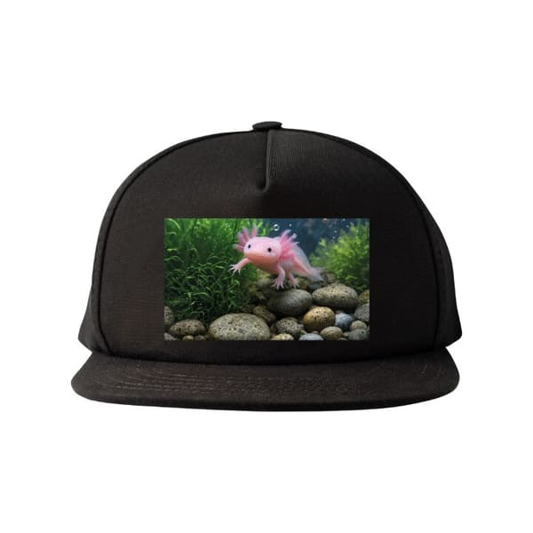 Snapback-cap sort one size