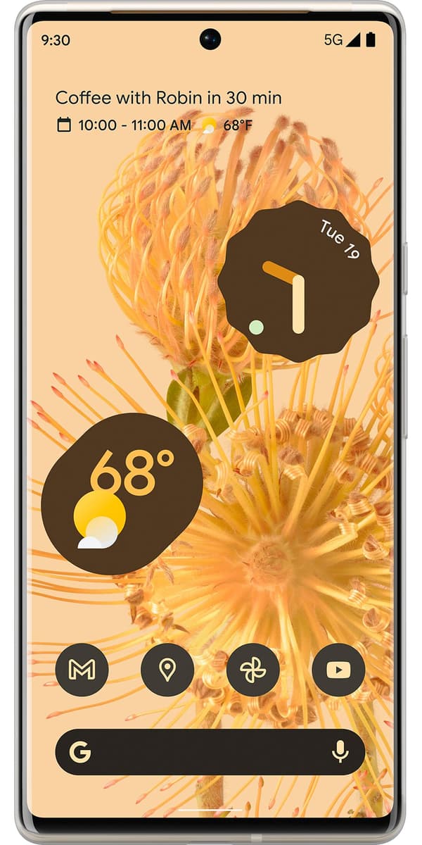 Kompatibel Mobilcover til Google Pixel 6 Pro Grønne georginer grøn