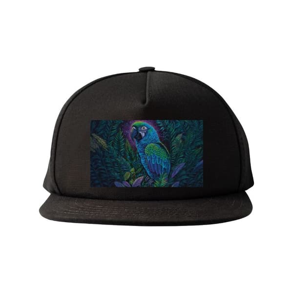 Snapback-lippalakki musta one size