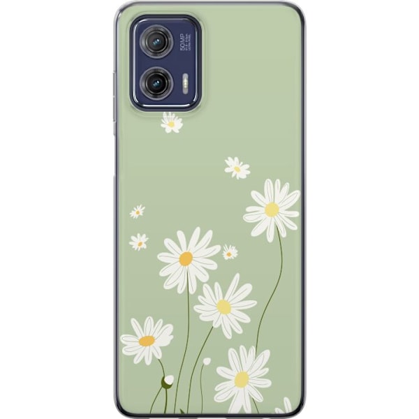 Motorola Moto G73 Genomskinligt Skal Prästkragar – blommigt mönster i svensk sommarstil