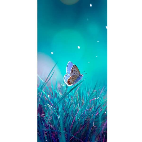 Kompatibelt Lommeboketui til Apple iPhone 13 Pro Magisk Sommerfugl