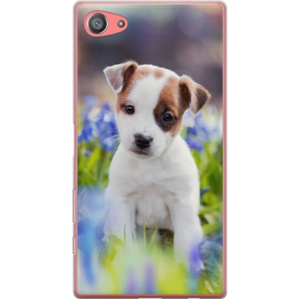 Sony Xperia Z5 Compact Gennemsigtig cover Hund