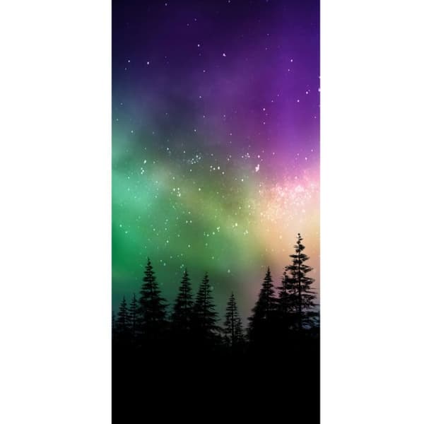 Kompatibel Tegnebogsetui til Apple iPhone 13 Pro Nordlys