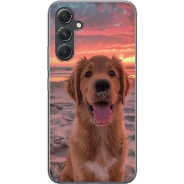 Samsung Galaxy S24+ Gjennomsiktig deksel Hund