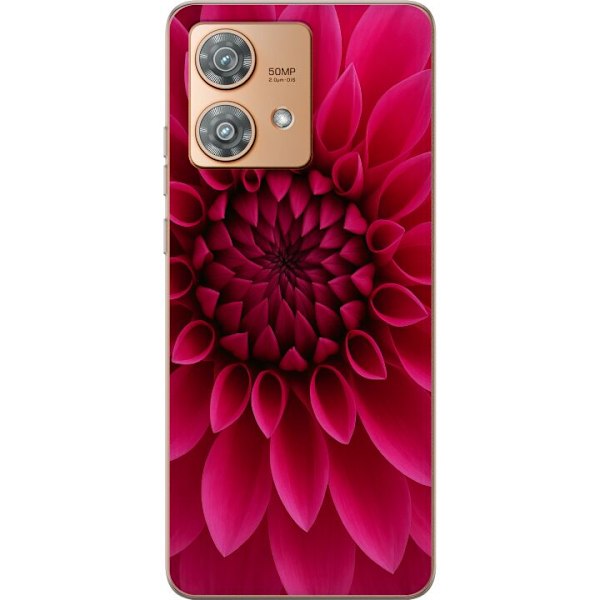 Motorola Edge 40 Neo Läpinäkyvä kuori Rosecore