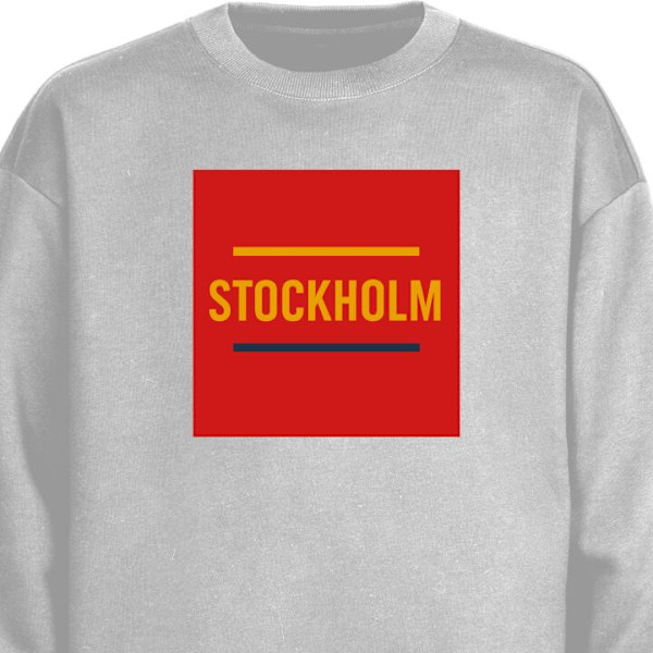 Sweatshirt til Voksne | Klassisk Collegebluse Stockholm - Isho grå M