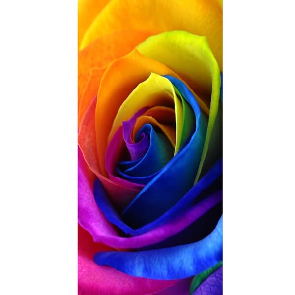 Kompatibel Tegnebogsetui til Apple iPhone 13 Pro Regnbue Rose