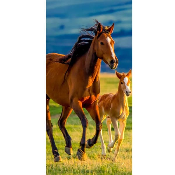 Kompatibelt Plånboksfodral till Apple iPhone 13 Pro Running Horses