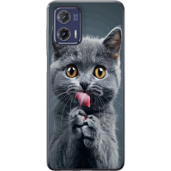 Motorola Moto G73 Gjennomsiktig deksel Katt